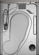 ASKO 5 Series 5.2 Cu. Ft. Titanium Vented Electric Dryer-1