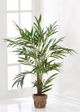 Giftcraft Brown/Green Decorative Tree with Planter-0