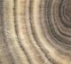A & B Home Javier Beige/Gray Hand-Carved Zebra Onyx Bowl-1