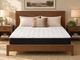 Ash Medium King Mattress-1