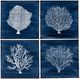 Crestview Collection Four Corals 4-Piece Blue Wall Art Set-0
