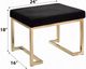 ACME Furniture Boice Black/Champagne Ottoman-2