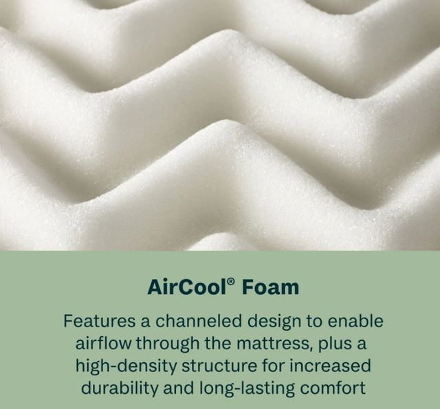 BeautySleep® Soothing Nights 14" Pocketed Coil Plush Tight Top King Mattress in a Box-3