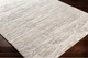 Surya Venice Gray/Ivory 5'x7' Area Rug-3