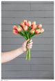A & B Home Cerise Faux Tulip 9-Stem Bundle-3