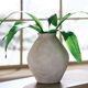 Signature Design by Ashley® Hannela Antique Tan Vase-3