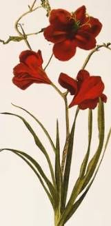 Stylecraft Brown/Green/Off-White/Red Wall Art-1