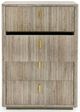 VIG Furniture Nova Domus Roma Beige/Gold Chest-2