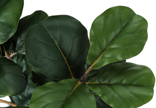 Monarch Specialties Inc. Green/Black 32" Artificial Potted Fiddle Tree-2