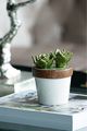 A & B Home Brown/Green/White 5" Ceramics Plant Decorate-2