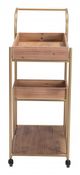 Zuo Modern Bar Brown/Gold Tray Cart-1
