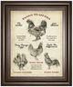 Classy Living Studio W Hen House II Wall Art-0