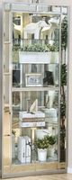 Furniture of America® Chouteau Silver Curio Cabinet-0