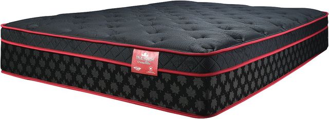Springwall® True North Chiropractic® Frontenac 12" Wrapped Coil Firm Euro Top Double Mattress in a B-0