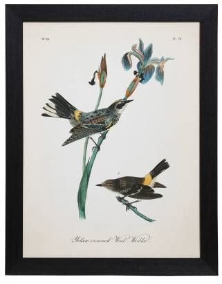 StyleCraft Vintage Warbler I Wall Art-0