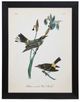 StyleCraft Vintage Warbler I Wall Art-0