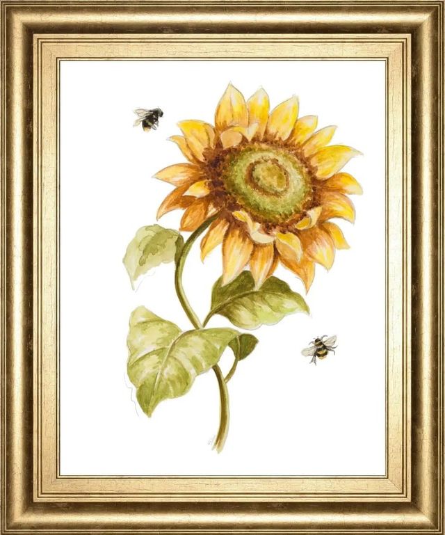 Classy Art Harvest Gold Sunflower II by Patricia Pinto Wall Art-0