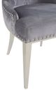 VIG Furniture Modrest Dumas 2-Piece Gray/Stainless Steel Dining Chair Set-4