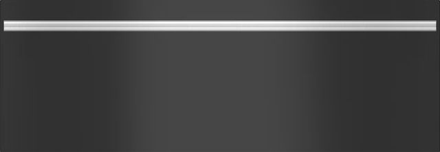 Wolf® M Series 30" Black Warming Drawer Panel Kit With Contemporary Handle-0
