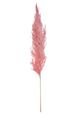 A & B Home Blush Dried Natural Pampas Grass Bundle-1