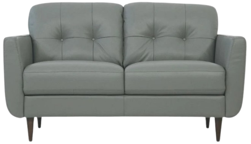 Acme Furniture Radwan Loveseat - Thumbnail 2