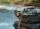 A & B Home Gray/Green Stone Fountain-2