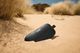Bose Soundlink Flex 2nd Gen Black Bluetooth® Speaker-5