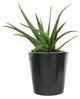 CabanaCoast® Customizable York Aluminum 24" Medium Outdoor Round Planter-0