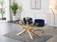 Meridian Furniture Gianna Navy/Gold Velvet Dining Chair-4
