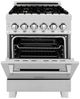 ZLINE 24" Satin Stainless Steel Pro Style Dual Fuel Range-2