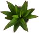 A & B Home Green Potted Faux Black Prince Succulent-1
