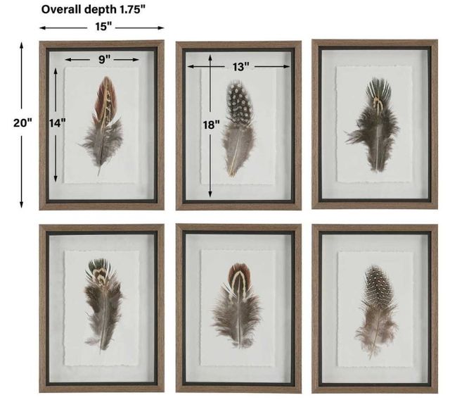 Uttermost® Birds of a Feather 6-Piece Framed Print Set-2