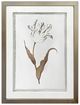 Crestview Collection Gilded Botanicals 4-Piece Wall Art Set-2