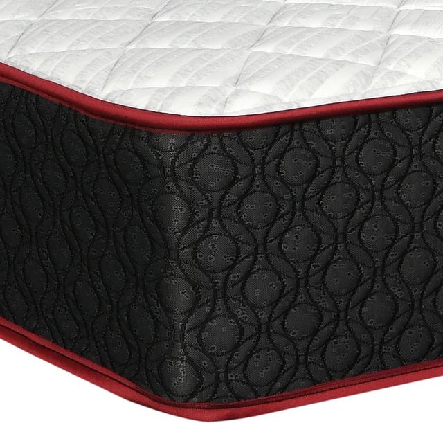 Springwall® True North Chiropractic® Champlain 10.5" Wrapped Coil Firm Tight Top Twin Mattress-1