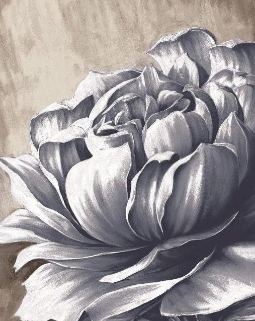 Classy Art Charming Floral II by Dogwood Portfolio Wall Art-0