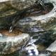 A & B Home Gray/Green Small Cascading Fountain-4