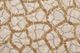 Feizy Cannes Light Gray/Brown 10' x 13'2"-1