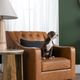 Crestview Collection Harmon Brown Accent Chair-5