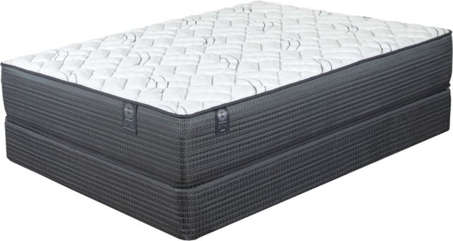 Restonic® Consumer Digest Best Buy Judson Wrapped Coil Firm Tight Top Queen Mattress-2