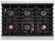 ZLINE Autograph Edition Paramount 36" 5.2 Cu. Ft. Stainless Steel Dual Fuel Range with 6 Burner DuoPro™ Cooktop and Electric Convection Oven and Polished Gold Helix Handle and Accents-2