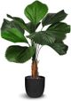 Le Present Licuala Green 54" Faux Botanical Grandis-0