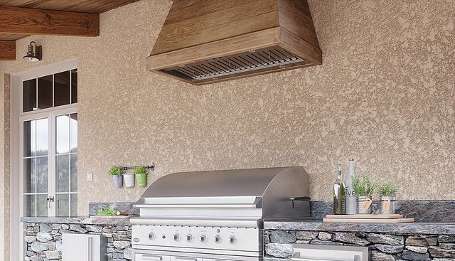 Zephyr Pro Collection Spruce 34" Stainless Steel Outdoor Insert Range Hood -3