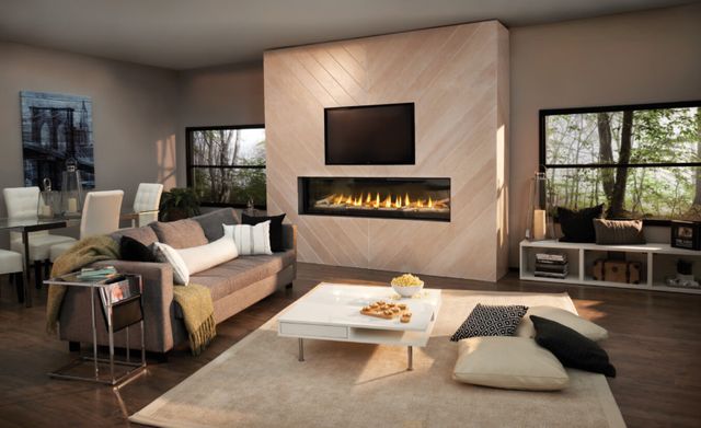 Gas Fireplace Insert