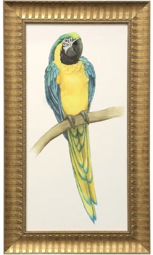 Click to view more images of the product.
