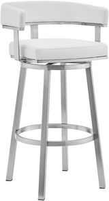 Brushed Stainless Steel-White