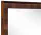 VIG Furniture Modrest Shane Dark Acacia Mirror-1