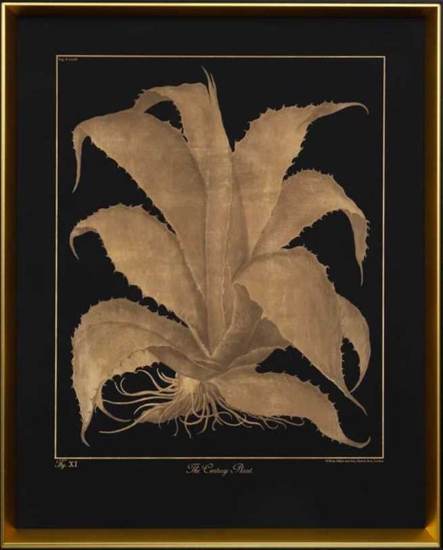 Stylecraft Century Plant Black/Gold Wall Art-1