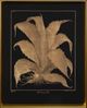 Stylecraft Century Plant Black/Gold Wall Art-1