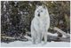 YHD Winter Sentinel Glass Art-0