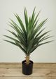 Le Present Yucca Green 35.5" Faux Botanical-3